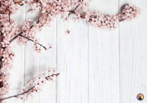 22. Hvítur viður lóðréttur-með-bleikum-blómum