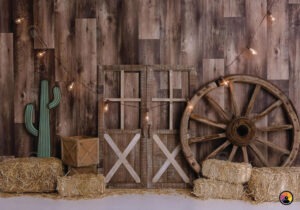 17. Villta vestrið með seríu